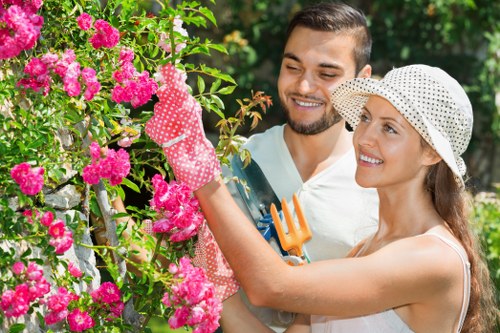 Cookie policy summary for Tree Surgeons Acton website