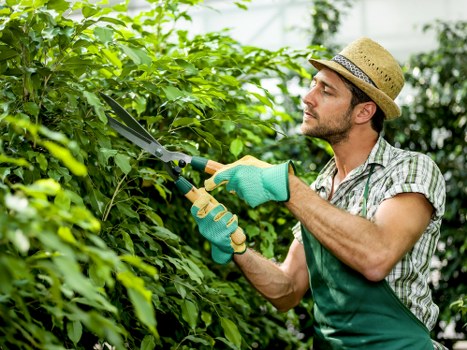 Trusted payment methods for Tree Surgeons Acton